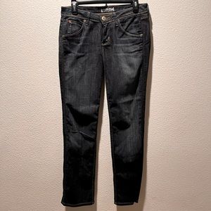 Hudson Jeans Low Rise straight leg